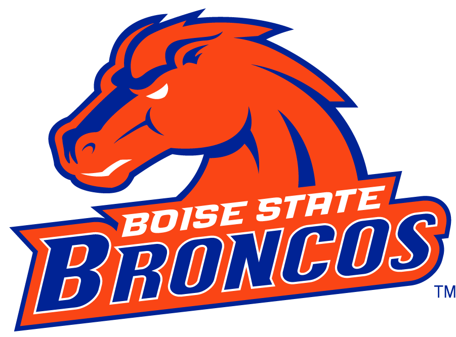 Boise State Broncos 2002-2012 Secondary Logo v8 t shirts iron on transfers
